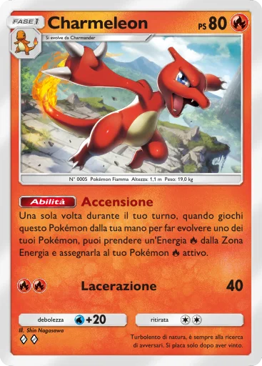 TCGPocket DataBase